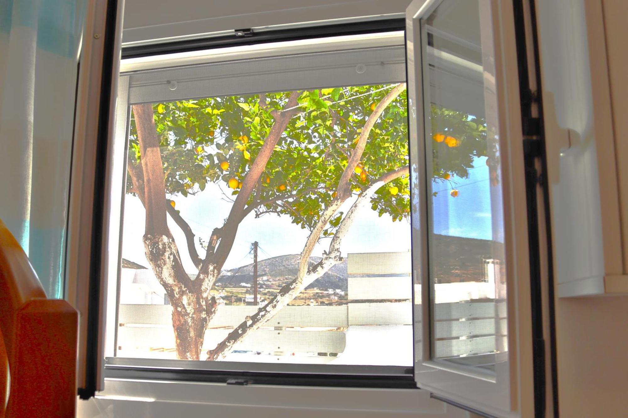 Lemon Tree Maisonette - Naoussa Paros Экстерьер фото