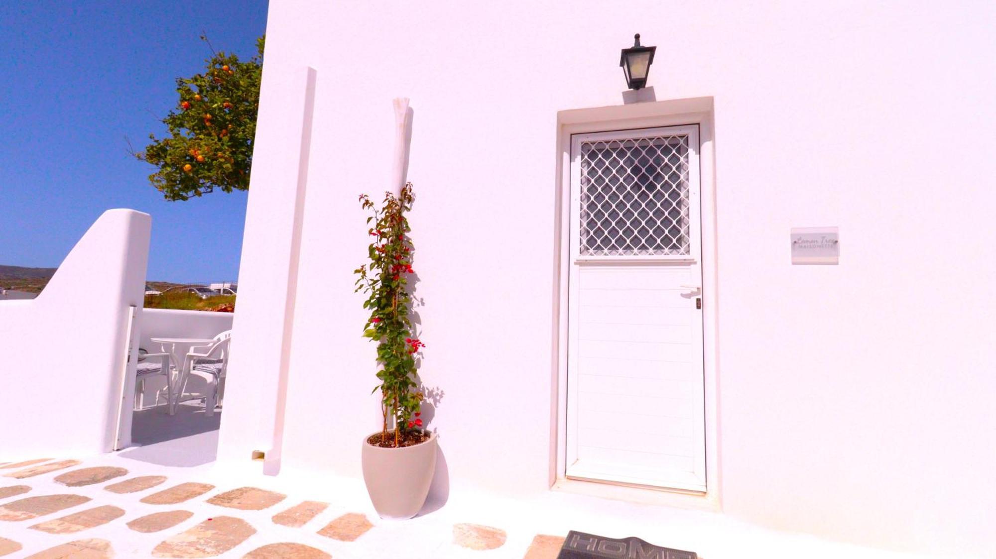 Lemon Tree Maisonette - Naoussa Paros Экстерьер фото