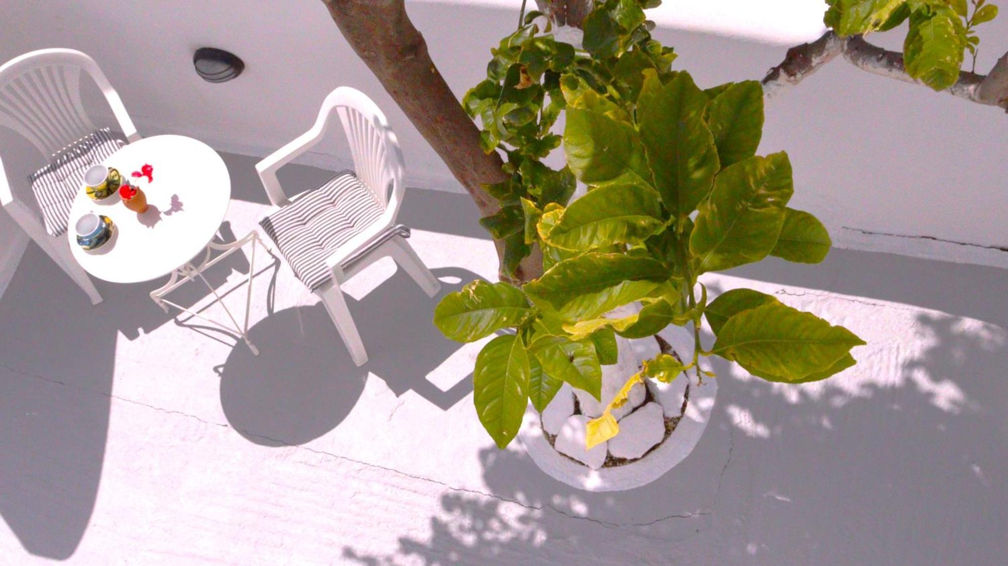 Lemon Tree Maisonette - Naoussa Paros Экстерьер фото